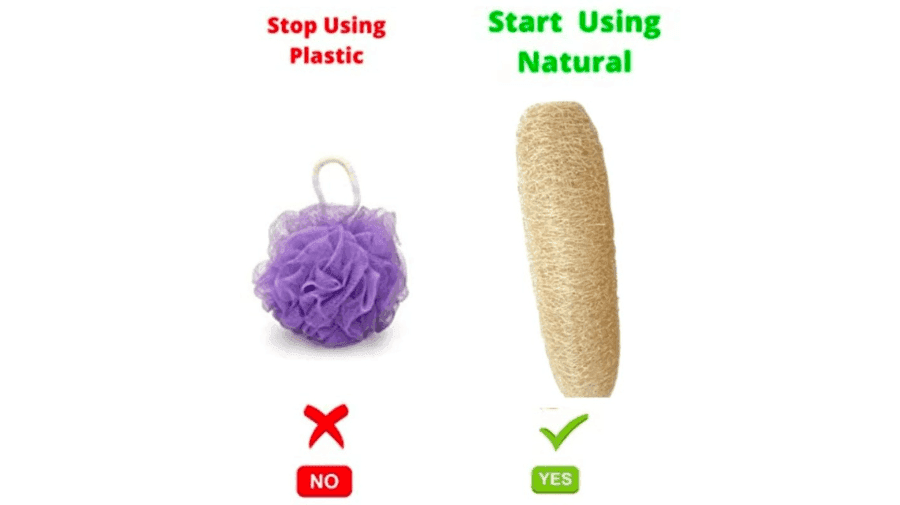 Natural Lilyport Loofah